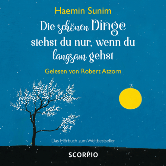 Die schönen Dinge siehst du nur, wenn du langsam gehst, Haemin Sunim (CD)