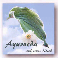 Ayurveda auf einen Klick, Marcus Schmieke (CD-ROM)