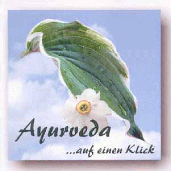 Ayurveda auf einen Klick, Marcus Schmieke (CD-ROM)