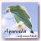 Ayurveda auf einen Klick, Marcus Schmieke (CD-ROM)