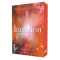 Intuition – 48 Karten mit Begleitbuch, Martin Zoller