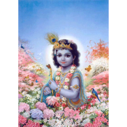 Krishna amidst flowers (Poster)