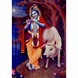 Krishna with flute and cow (Foto)