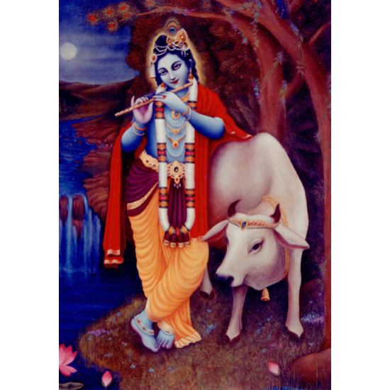 Krishna mit Flöte und Kuh (Foto)