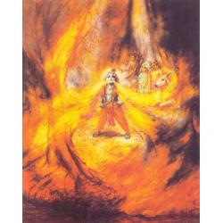 Krishna swallows a Forest Fire (Poster)