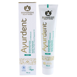 Ayurdent Herbal Toothpaste (mild)