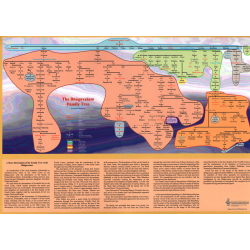 The Bhagavatam Family Tree (Poster)