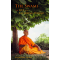 The Swami on Life in a Faltering World, Sivarama Swami
