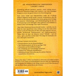 Ur-Erinnerung an den Seelenplan, Melanie Risi-Meier